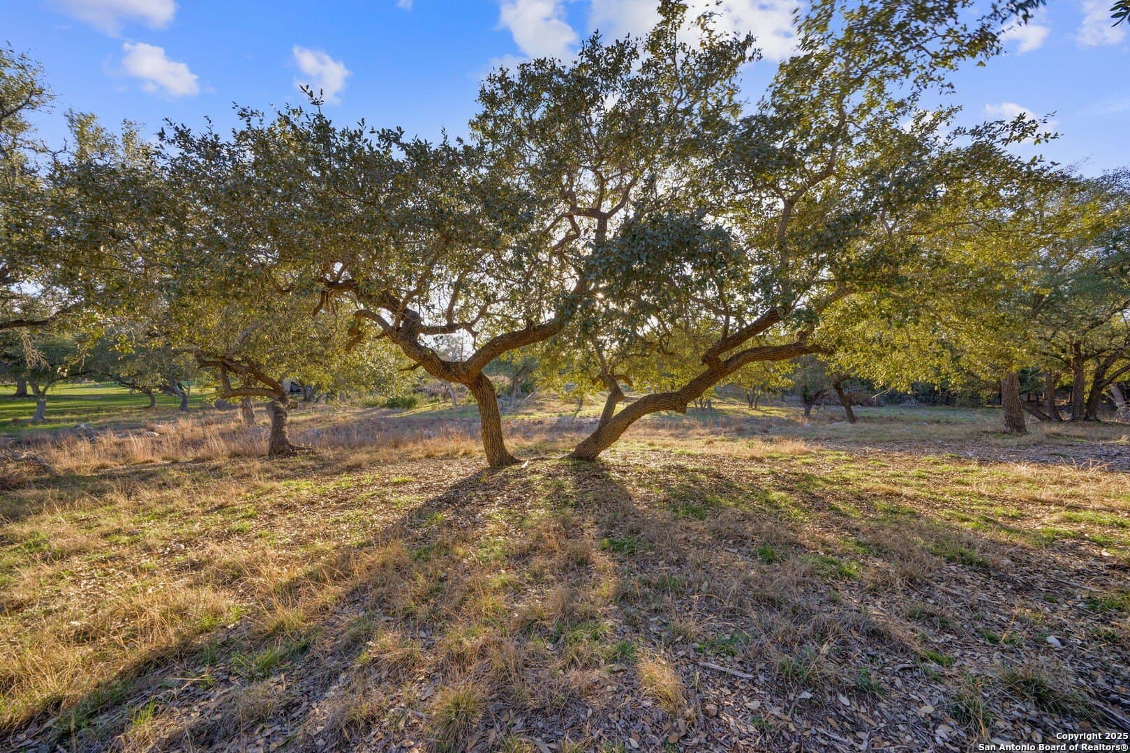 6.56 acres in Comal County - photo 14