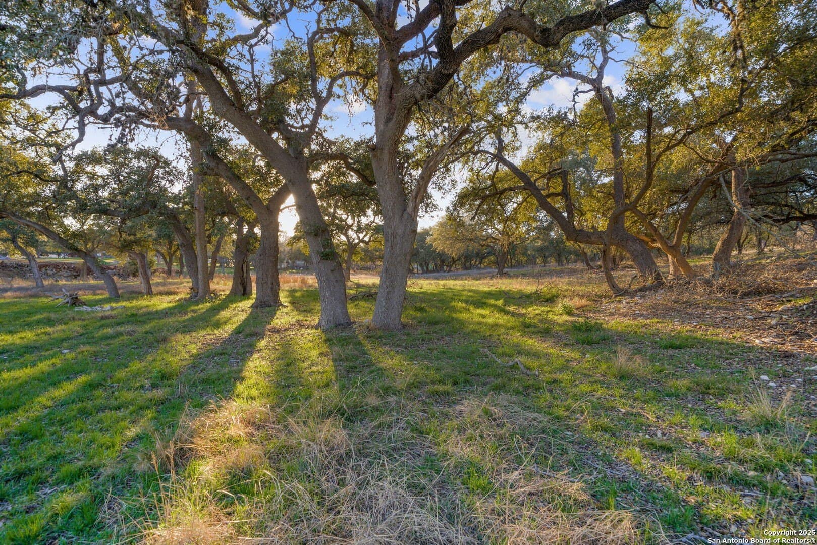 6.56 acres in Comal County - photo 4