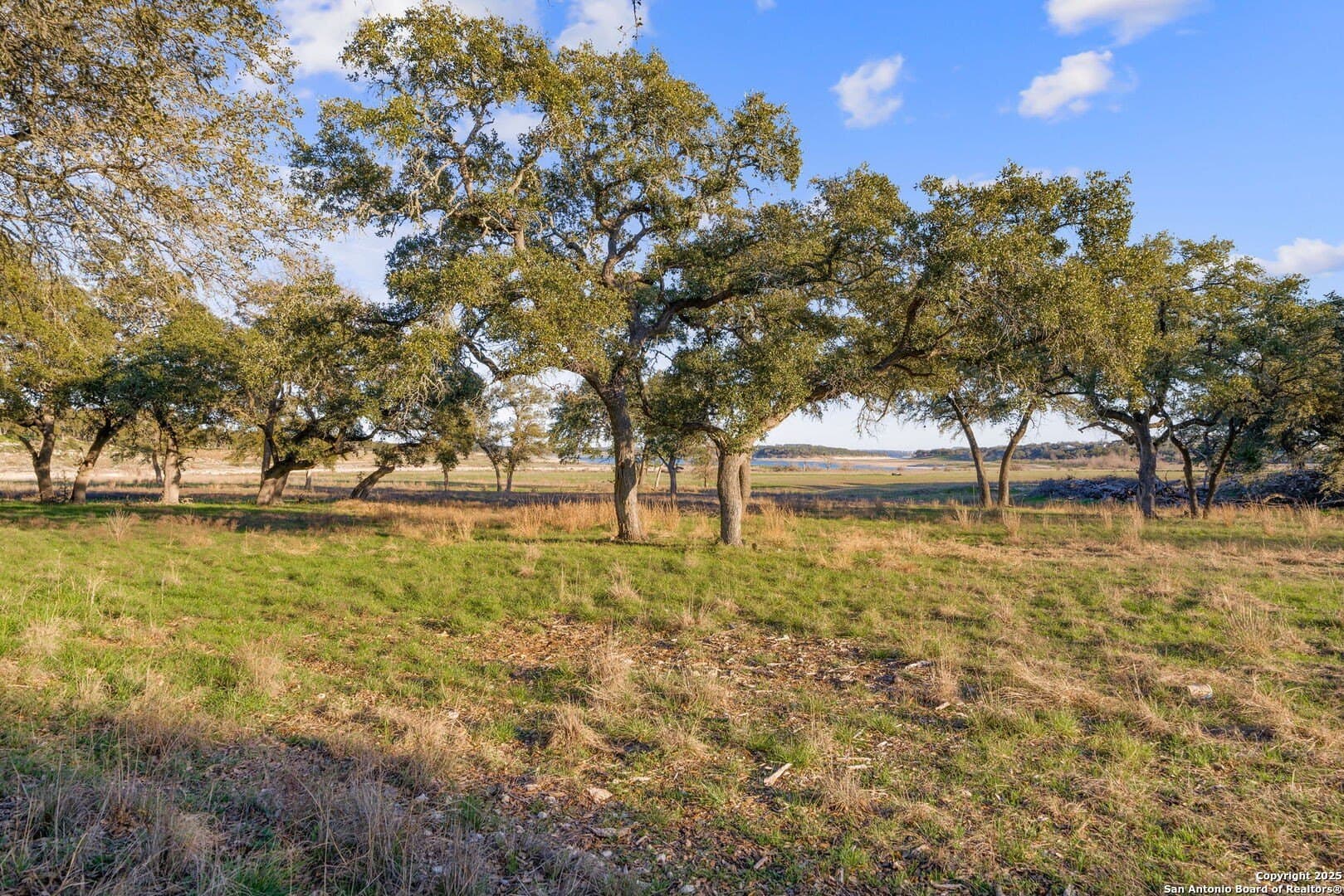 6.56 acres in Comal County - photo 20