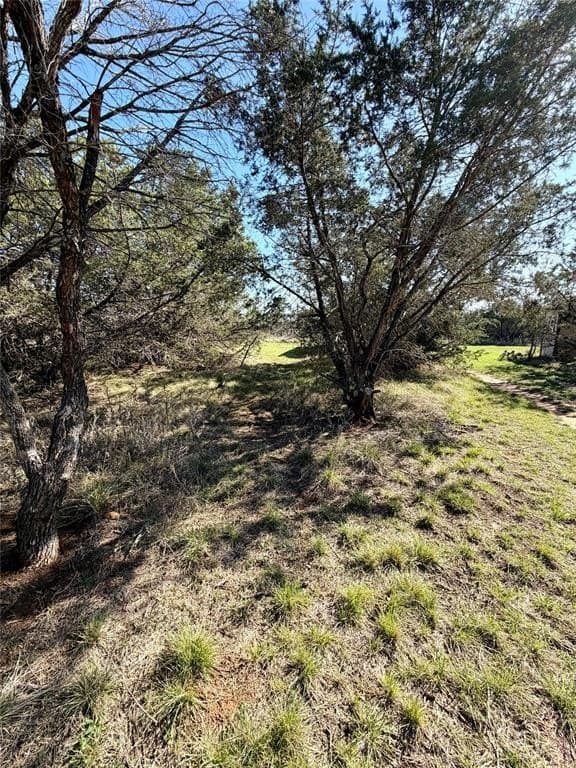 8.43 acres in Eastland County - photo 17