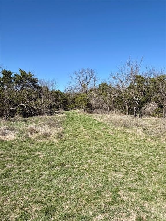 8.43 acres in Eastland County - photo 6