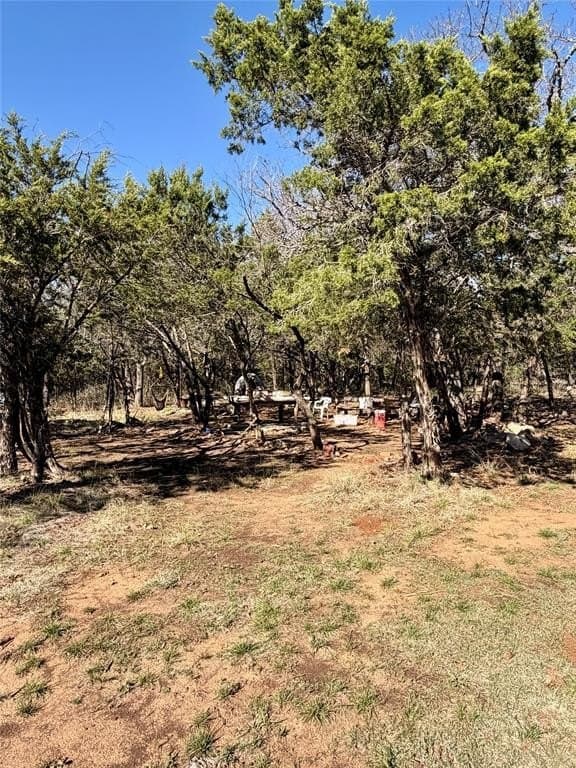 8.43 acres in Eastland County - photo 13