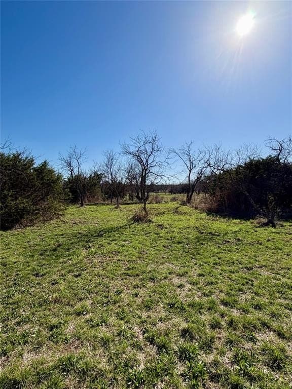 8.43 acres in Eastland County - photo 7