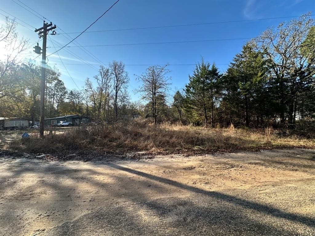 0.1 acres in Smith County - photo 23