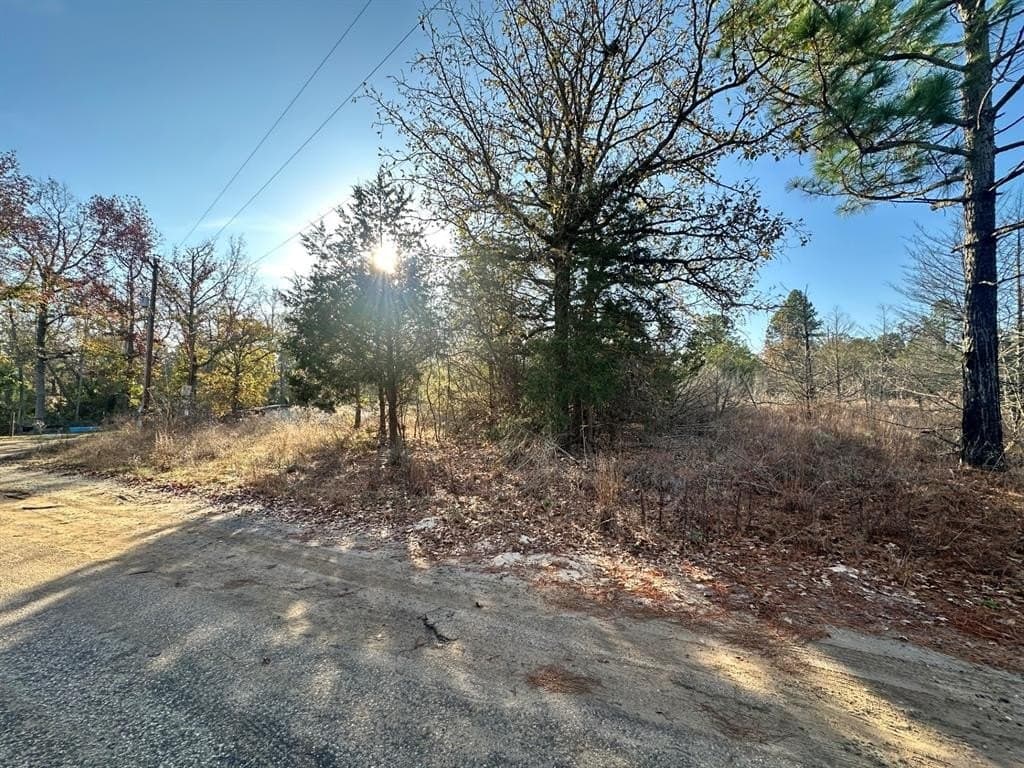0.1 acres in Smith County - photo 30