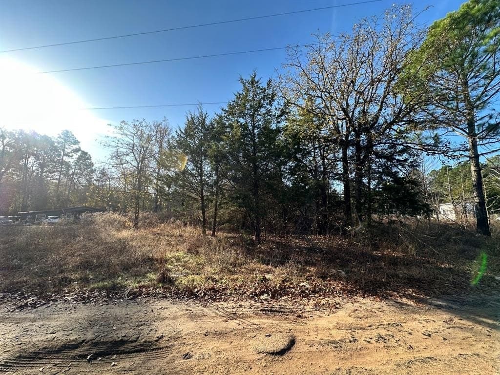 0.1 acres in Smith County - photo 29