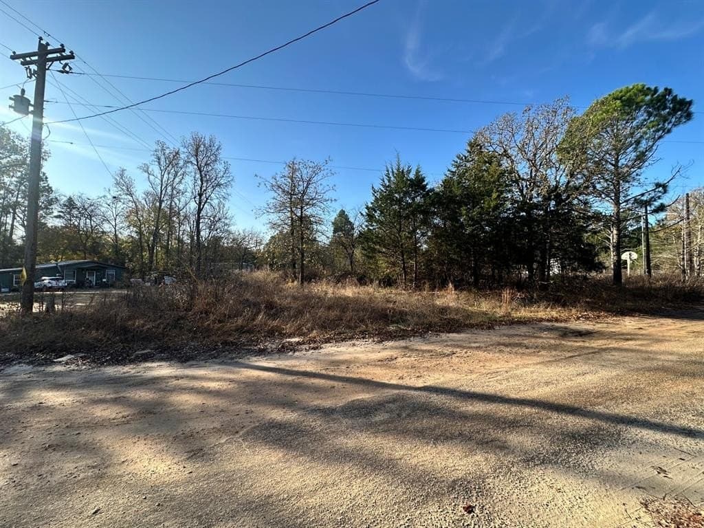 0.1 acres in Smith County - photo 28