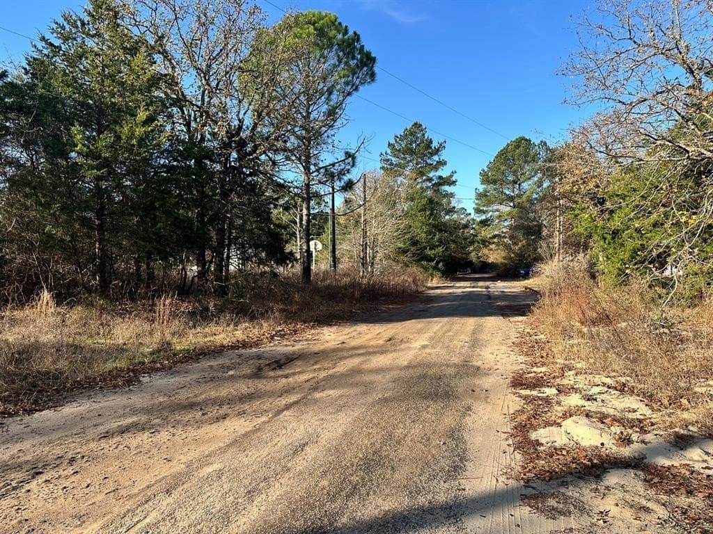 0.1 acres in Smith County - photo 21