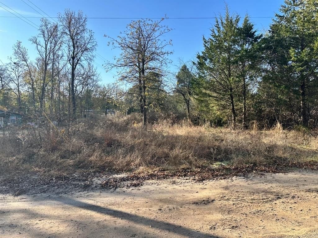 0.1 acres in Smith County - photo 22