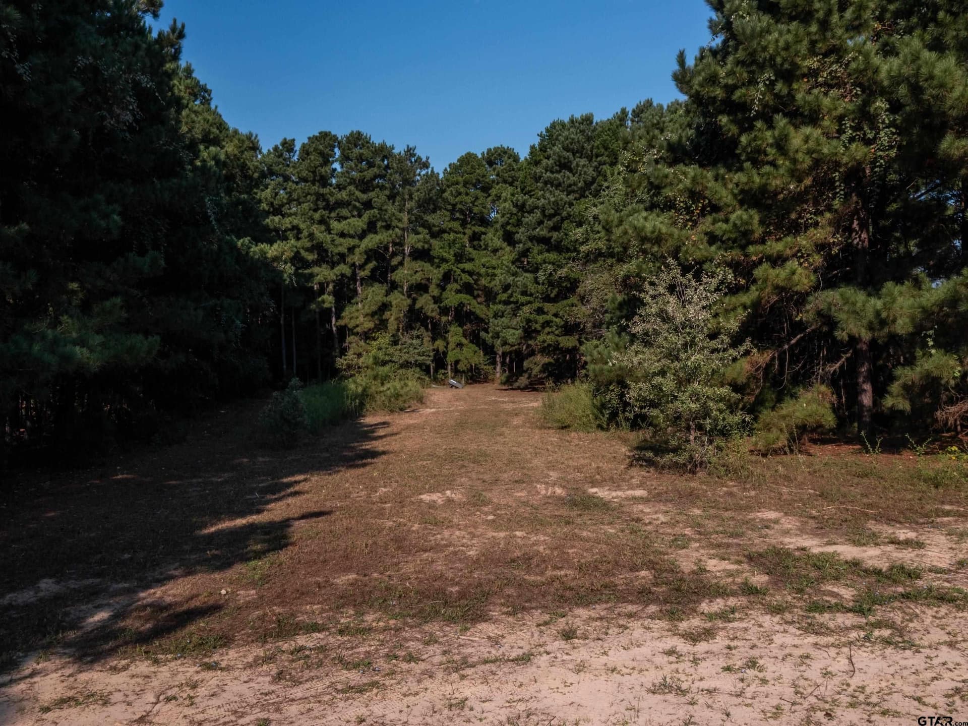12.66 acres in Henderson County - photo 14