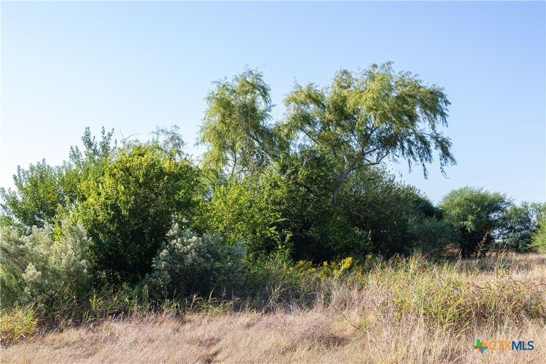 9.72 acres in Bexar County - photo 16