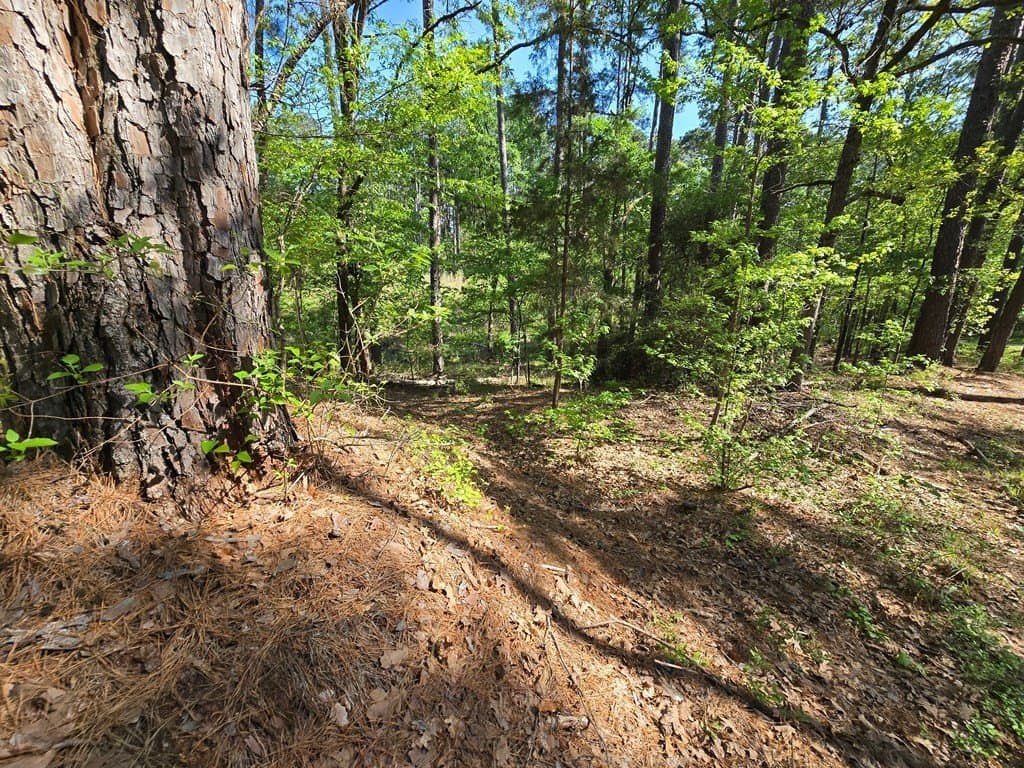 2.6 acres in Anderson County - photo 9