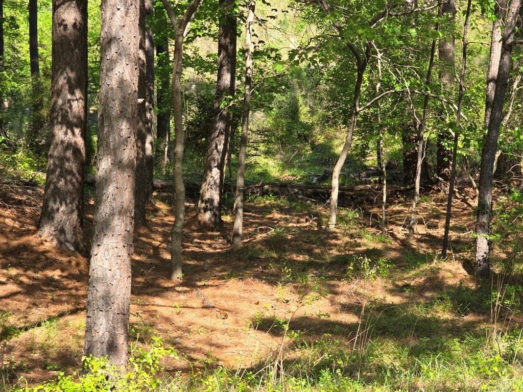 2.6 acres in Anderson County - photo 10