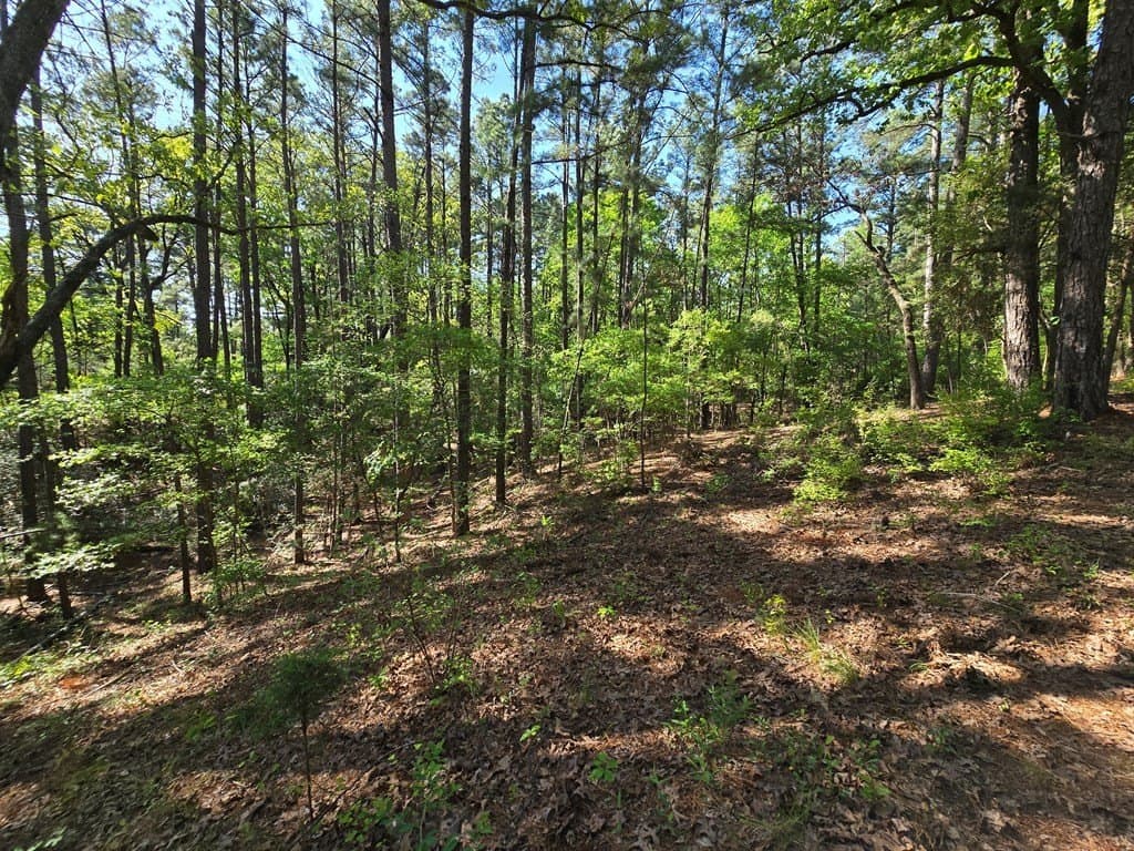 2.6 acres in Anderson County - photo 7