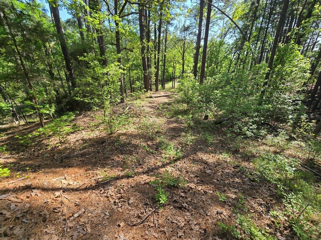 2.6 acres in Anderson County - photo 8