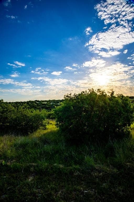 0.16 acres in Palo Pinto County - photo 7