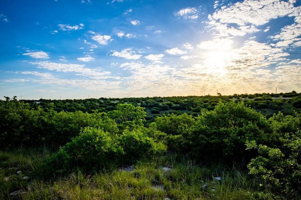 0.16 acres in Palo Pinto County - photo 2