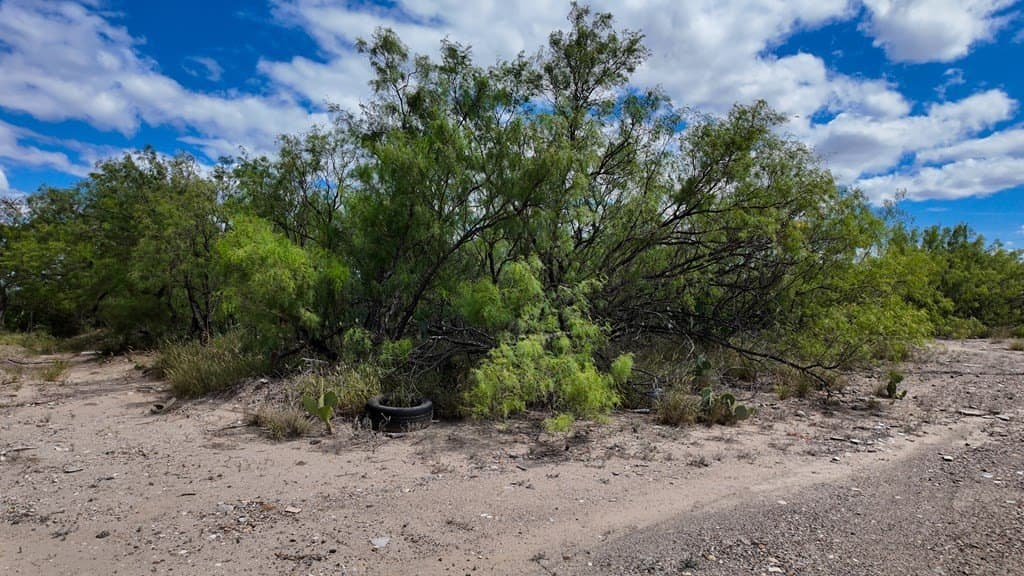 0.46 acres in Maverick County - photo 10