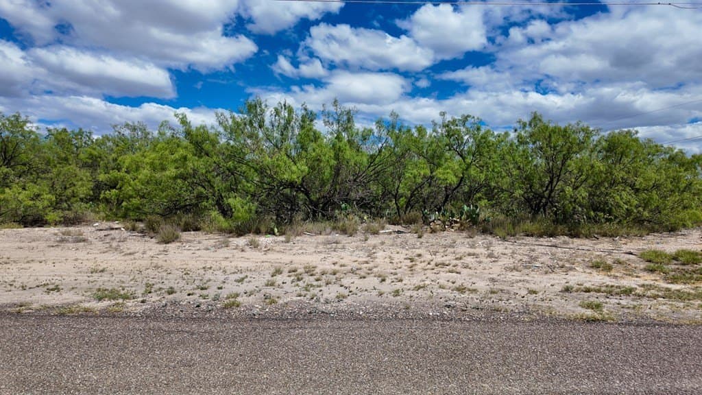 0.46 acres in Maverick County - photo 7