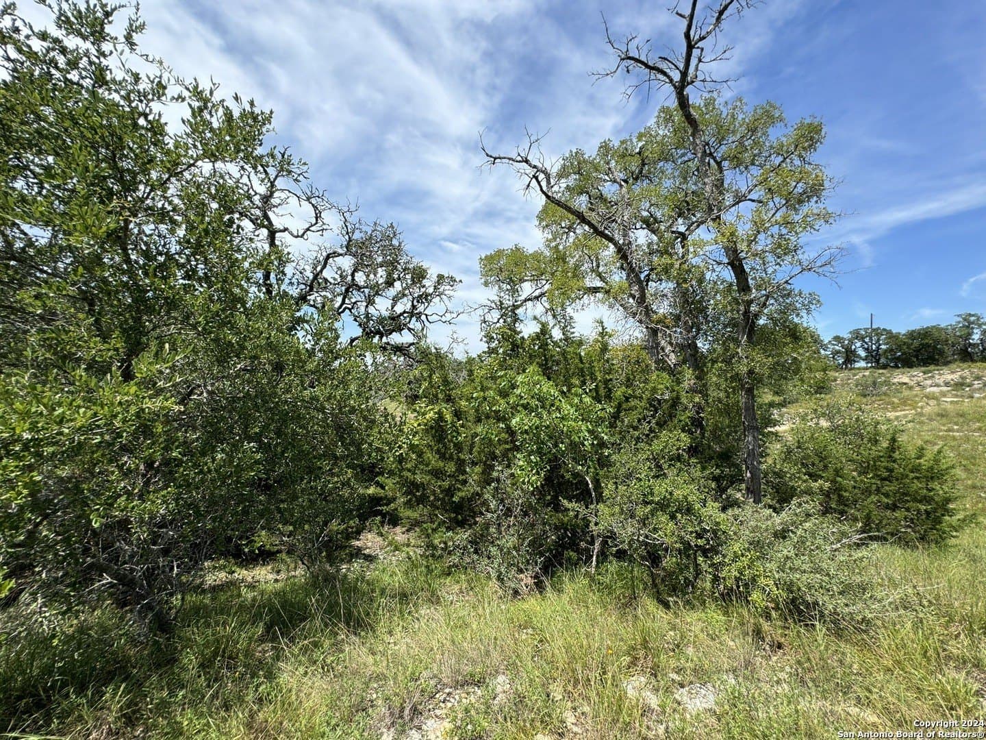 0.4 acres in Blanco County - photo 12
