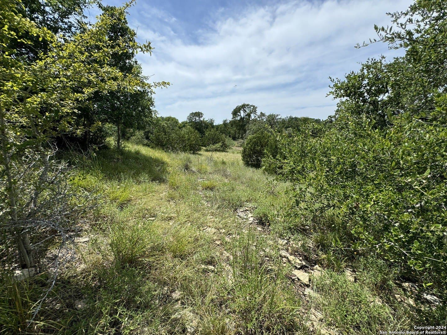 0.4 acres in Blanco County - photo 5