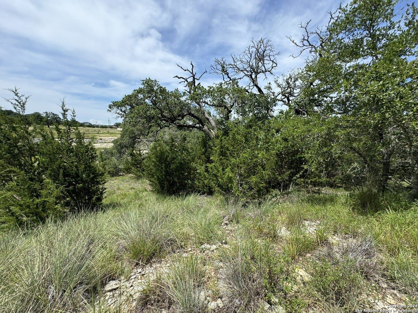0.4 acres in Blanco County - photo 11