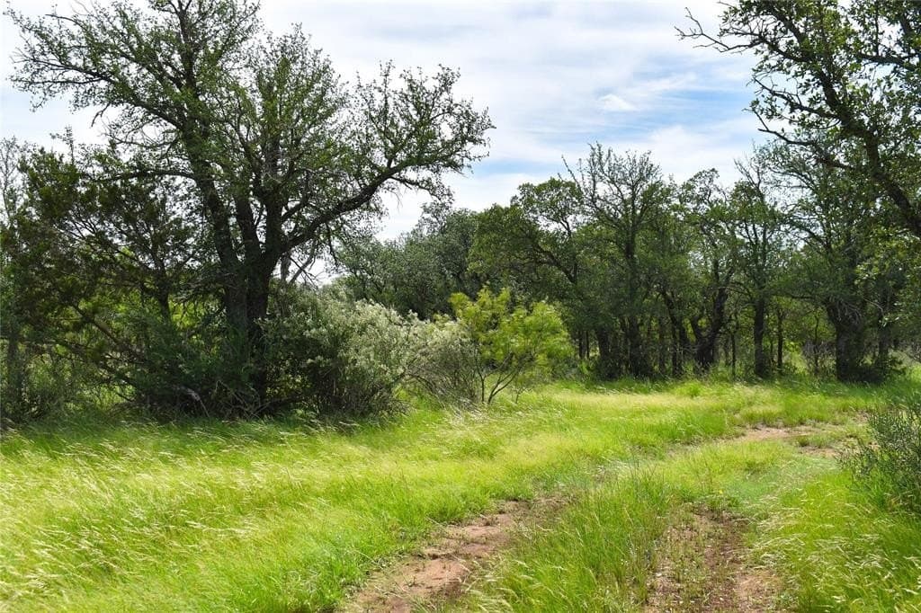 50 acres in McCulloch County - photo 25