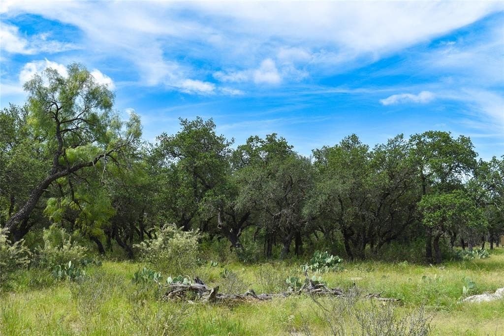 50 acres in McCulloch County - photo 23