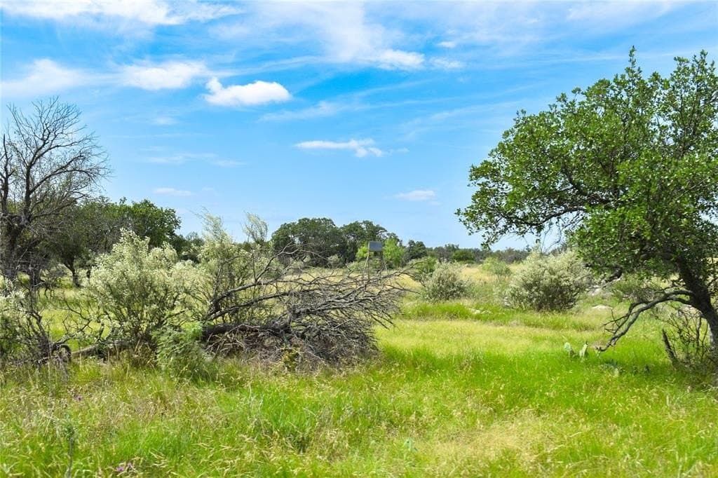 50 acres in McCulloch County - photo 30