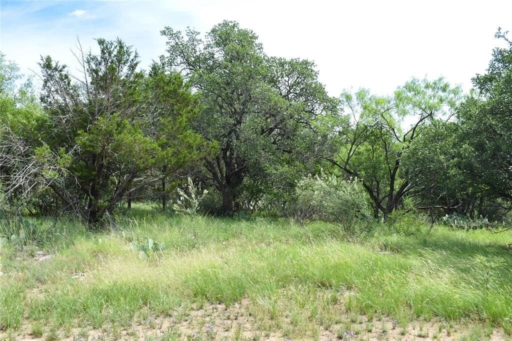 50 acres in McCulloch County - photo 36