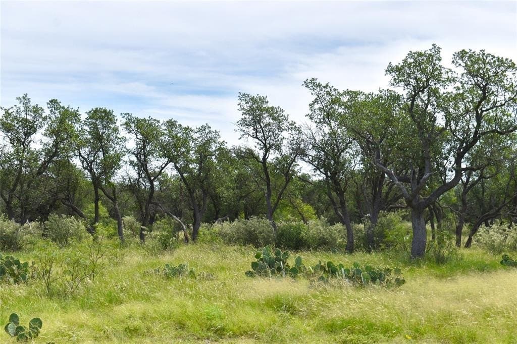 50 acres in McCulloch County - photo 24