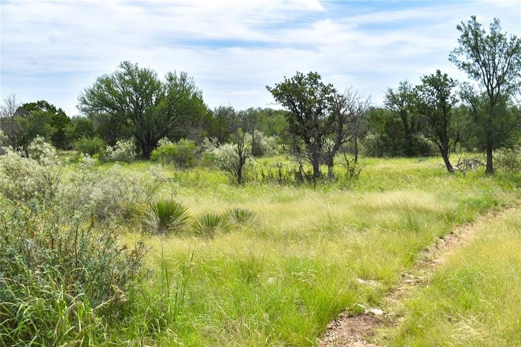50 acres in McCulloch County - photo 26