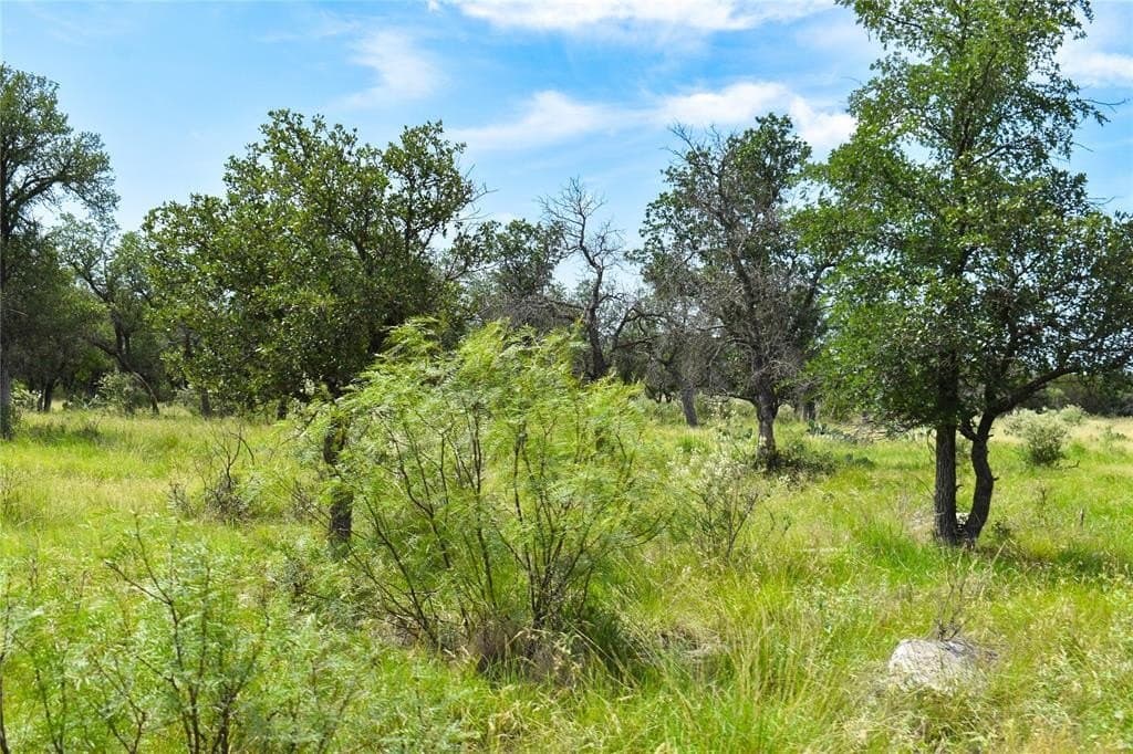 50 acres in McCulloch County - photo 32