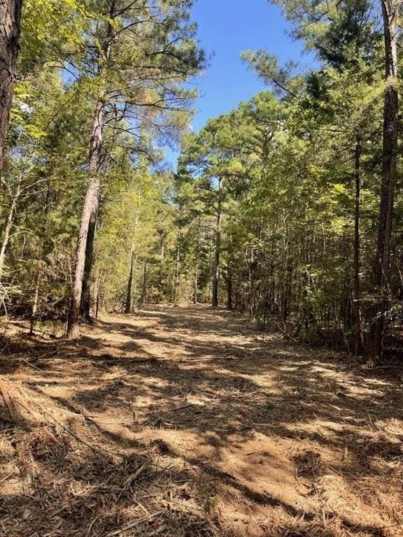 48.29 acres in Cherokee County - photo 5