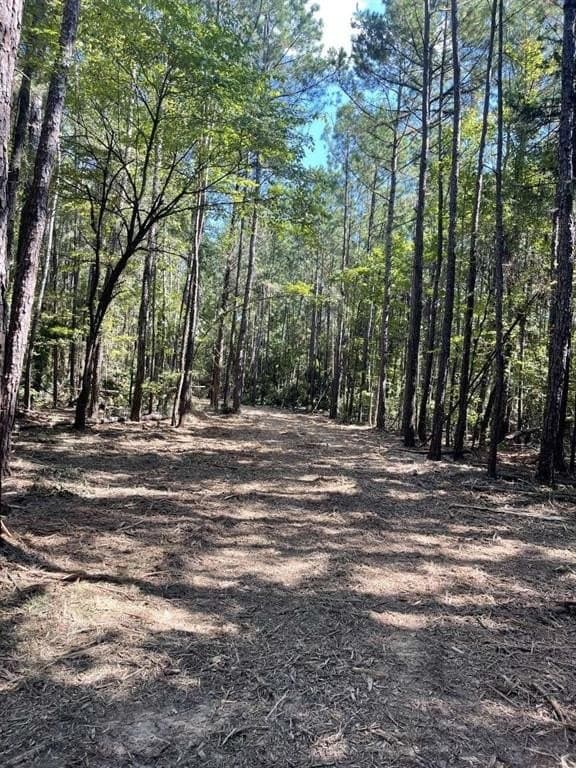 48.29 acres in Cherokee County - photo 6
