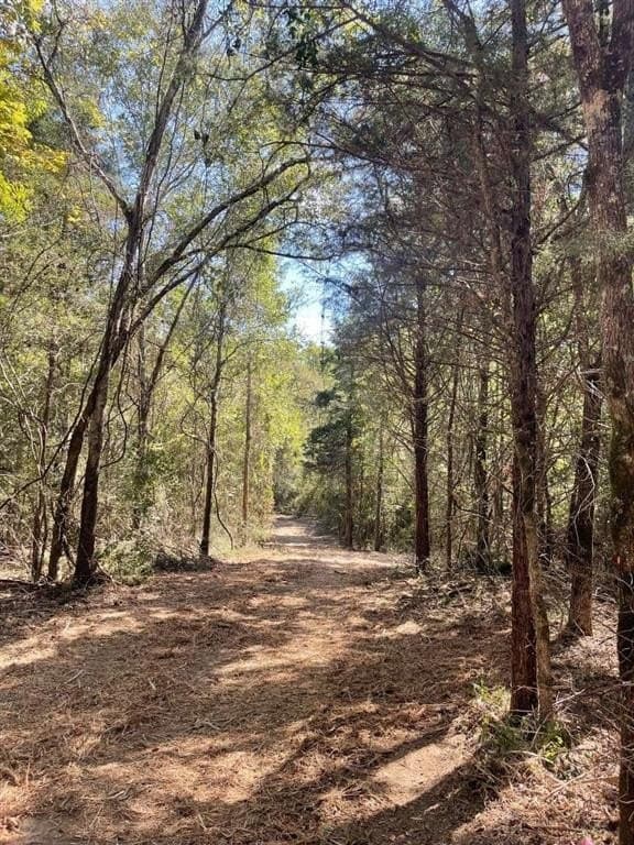 48.29 acres in Cherokee County - photo 4