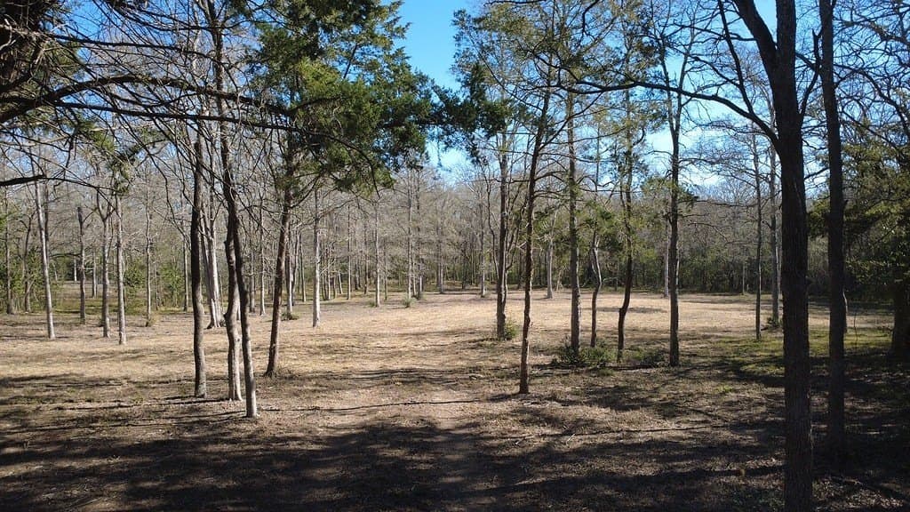 2.35 acres in Washington County - photo 11