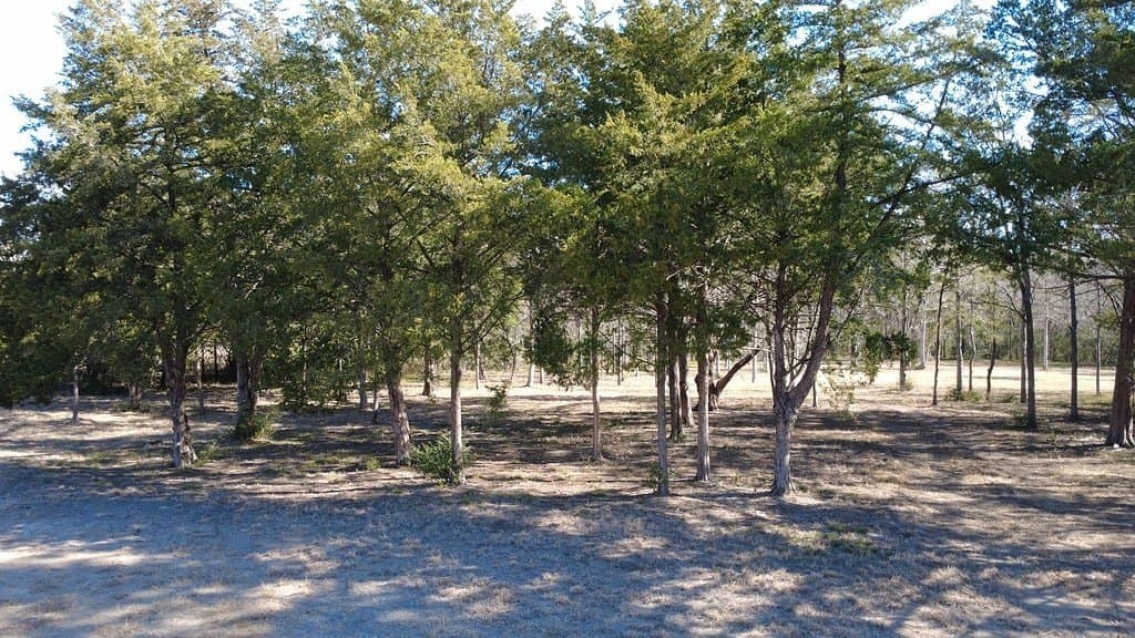 2.35 acres in Washington County - photo 13