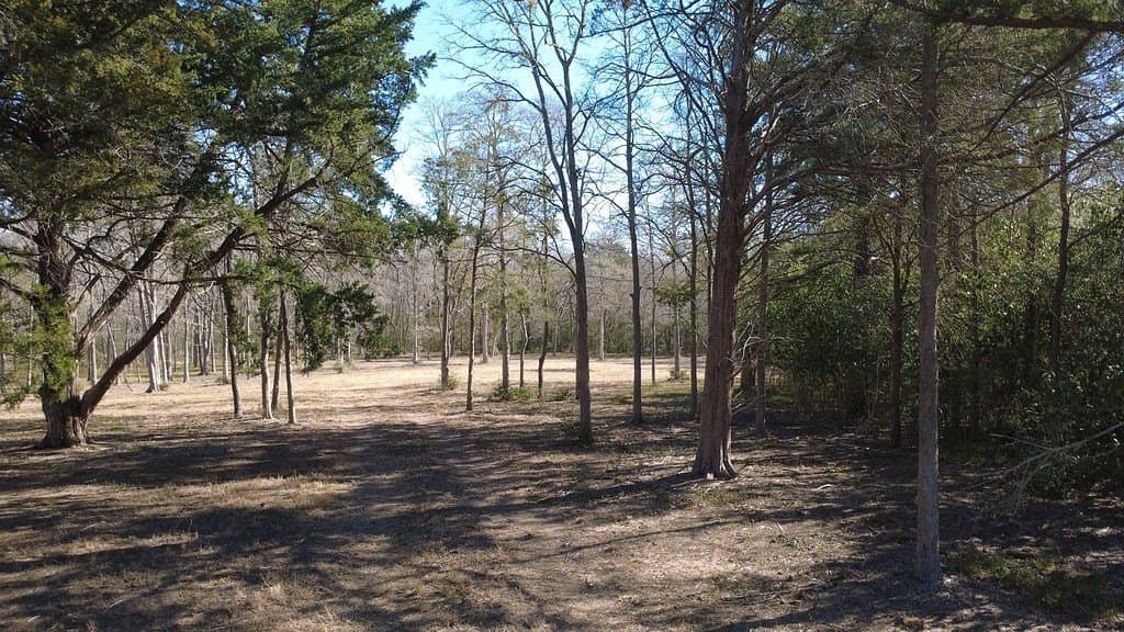 2.35 acres in Washington County - photo 12