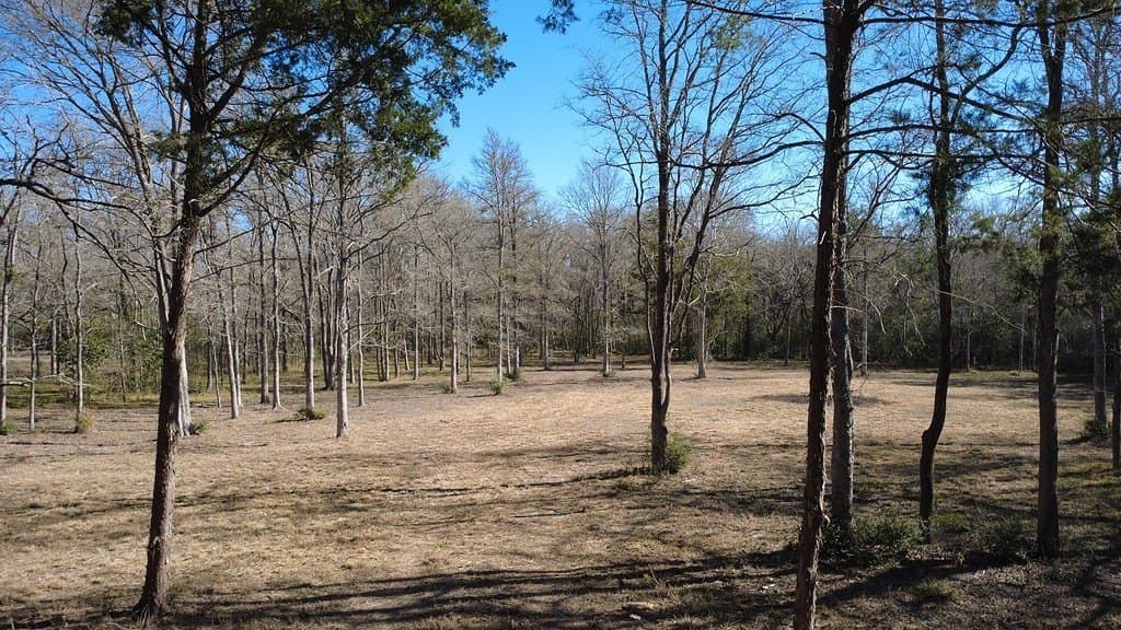 2.35 acres in Washington County - photo 10