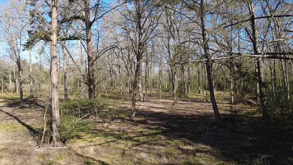 2.35 acres in Washington County - photo 8