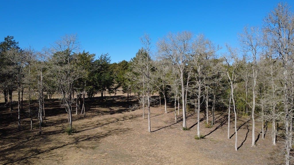 8272 Timber Bridge Lane