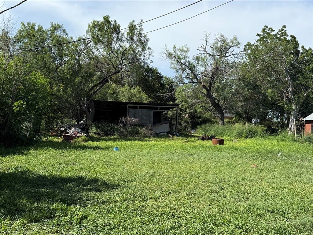 0.17 acres in Jim Wells County - photo 4