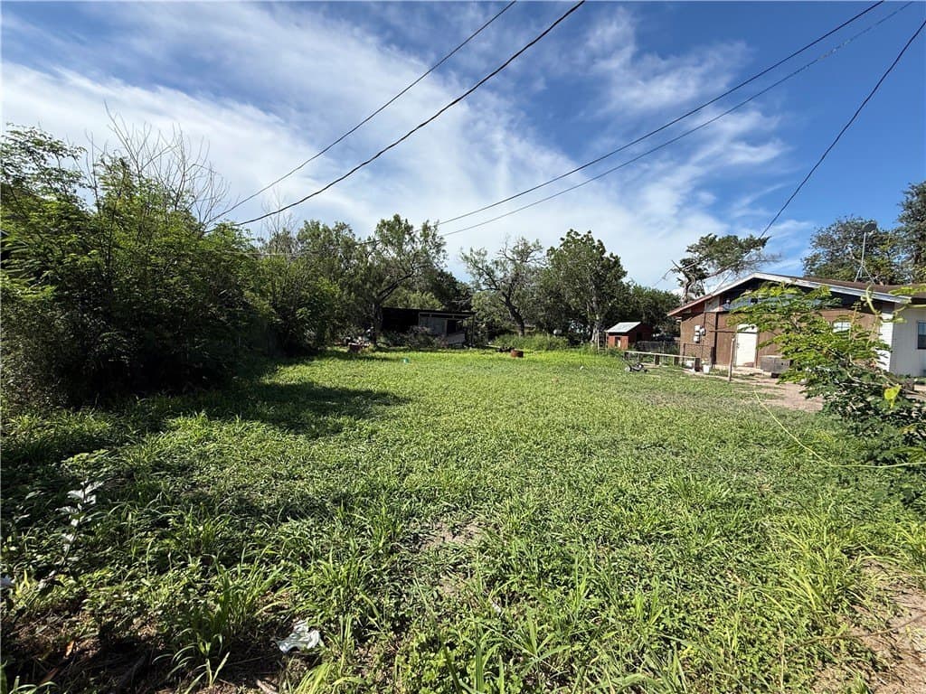 0.17 acres in Jim Wells County - photo 2