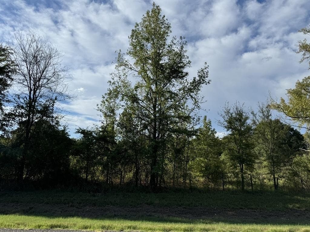 3.55 acres in Red River County - photo 5
