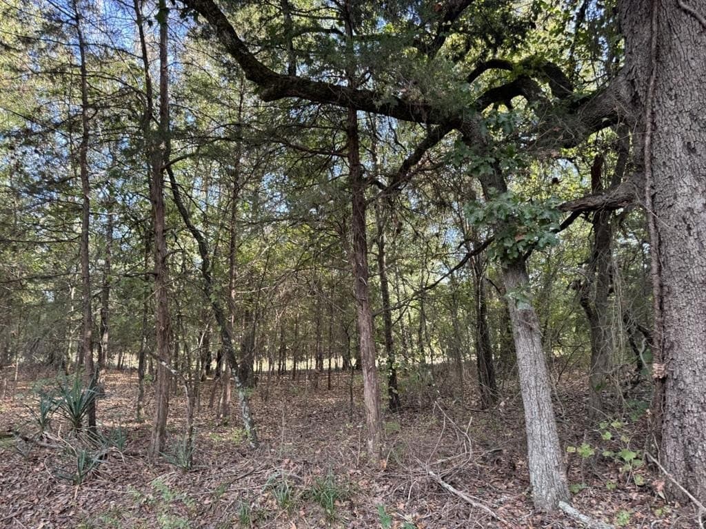 3.55 acres in Red River County - photo 6