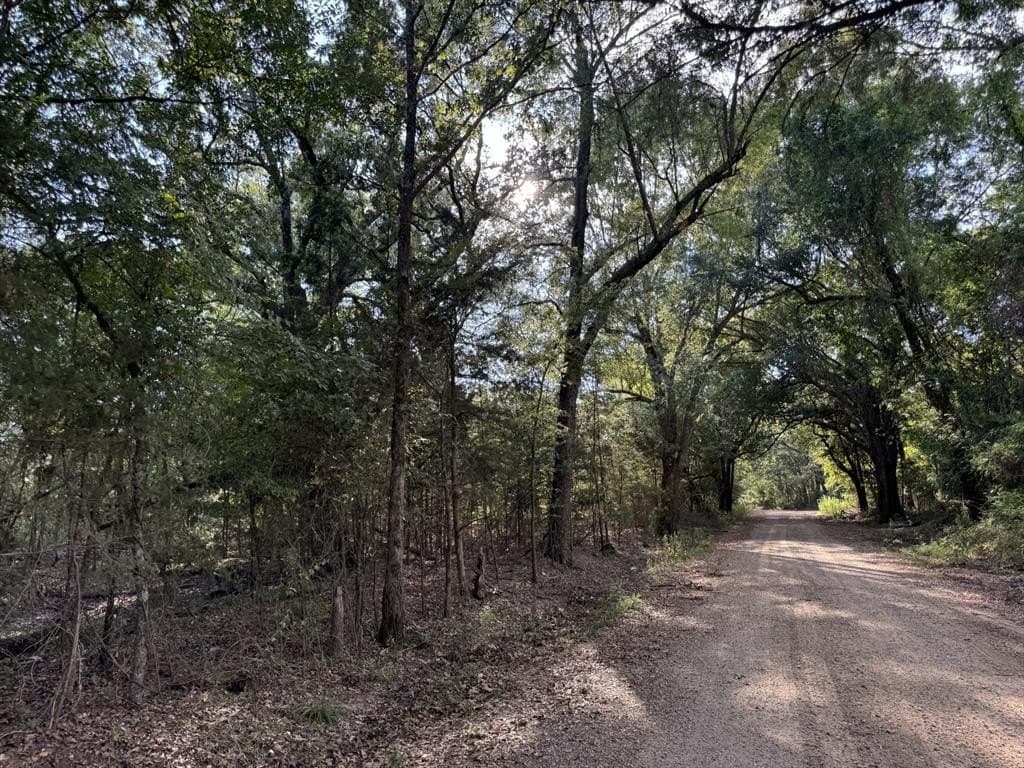 3.55 acres in Red River County - photo 7