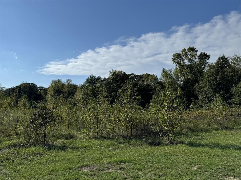 3.55 acres in Red River County - photo 3