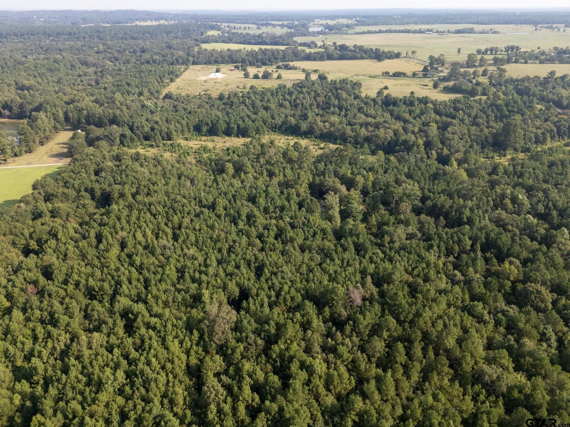 12.58 acres in Smith County - photo 8