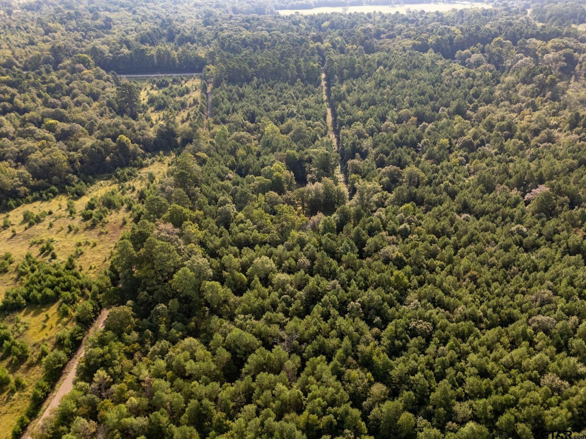12.58 acres in Smith County - photo 6